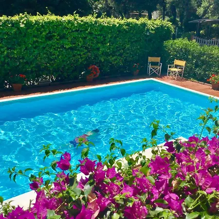 La Coccinella San Vincenzo